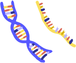 placeholder image to represent content