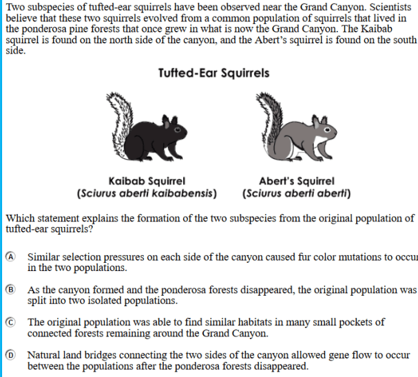 Question Image