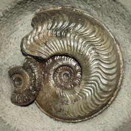 placeholder image to represent content