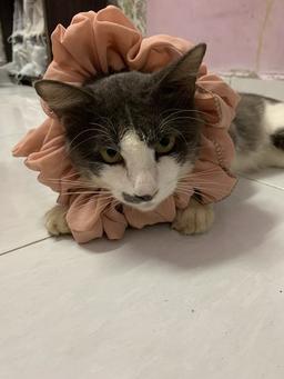 placeholder image to represent content