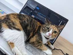 placeholder image to represent content