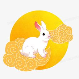 placeholder image to represent content