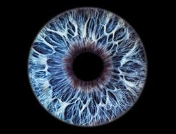 placeholder image to represent content