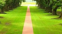 placeholder image to represent content