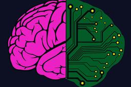 placeholder image to represent content