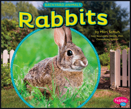 placeholder image to represent content