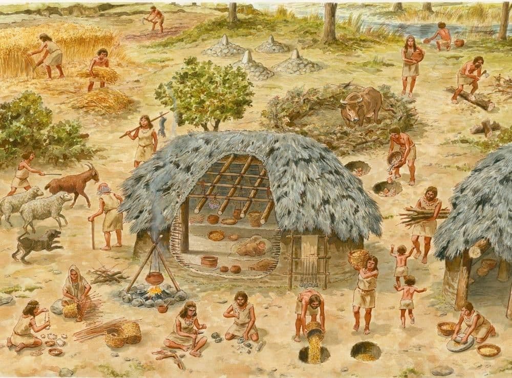 Question Image