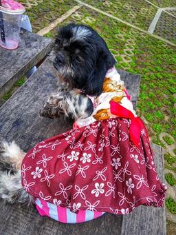 placeholder image to represent content