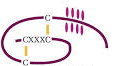 Answer Image