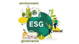 placeholder image to represent content