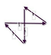 Answer Image