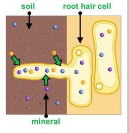 placeholder image to represent content