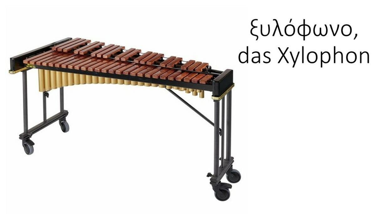 Answer Image
