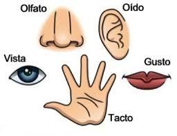 placeholder image to represent content