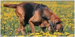 placeholder image to represent content