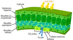 placeholder image to represent content