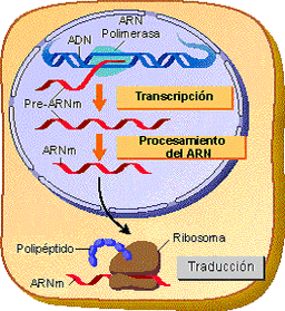 placeholder image to represent content