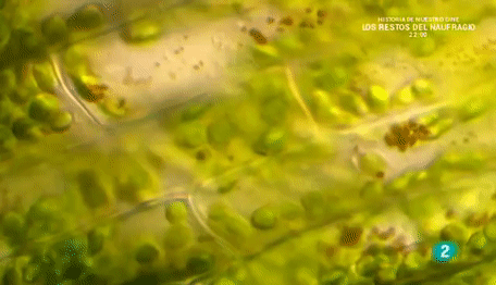 placeholder image to represent content