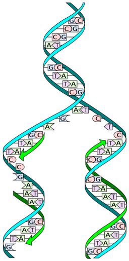 placeholder image to represent content