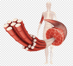 placeholder image to represent content