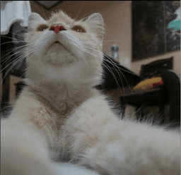 placeholder image to represent content