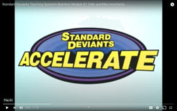 placeholder image to represent content