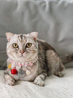 placeholder image to represent content