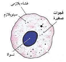 placeholder image to represent content