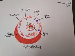 placeholder image to represent content