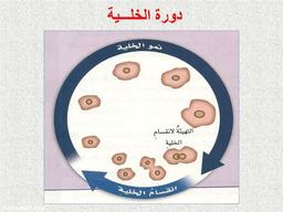 placeholder image to represent content