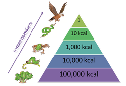 placeholder image to represent content