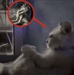 placeholder image to represent content