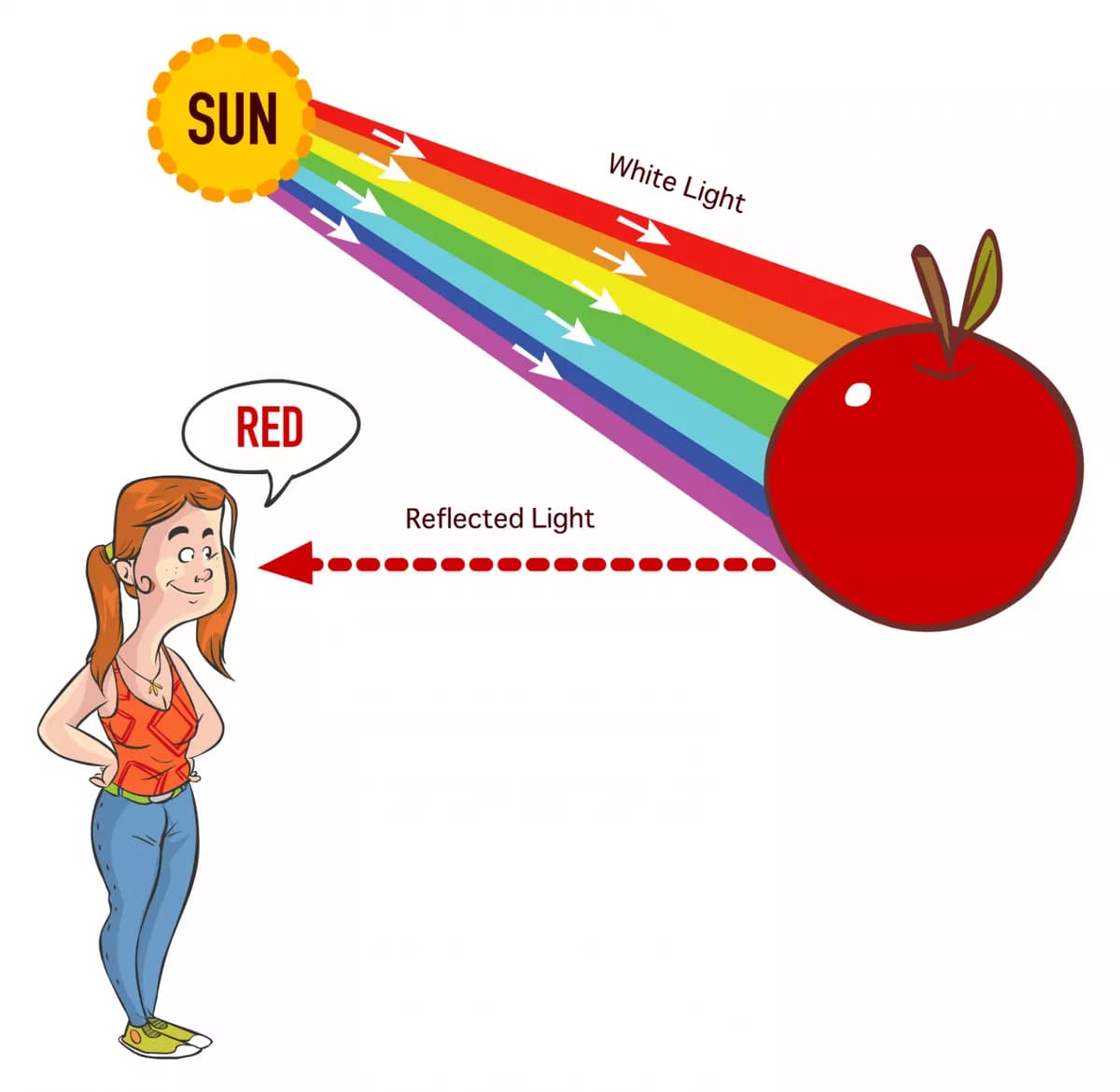 Question Image