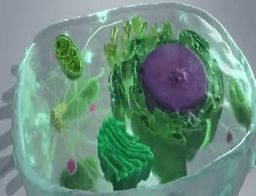 placeholder image to represent content