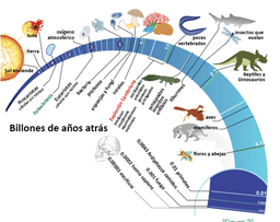 placeholder image to represent content