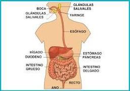 placeholder image to represent content