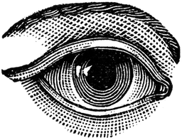 placeholder image to represent content