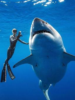 placeholder image to represent content