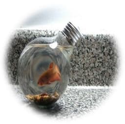 placeholder image to represent content