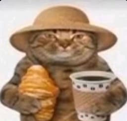 placeholder image to represent content
