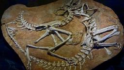 placeholder image to represent content