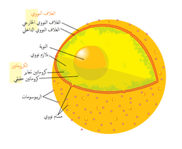 placeholder image to represent content