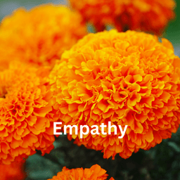 placeholder image to represent content