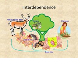 placeholder image to represent content