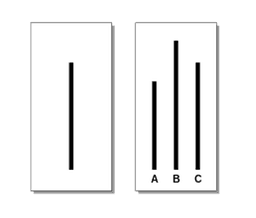 placeholder image to represent content