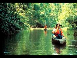 placeholder image to represent content