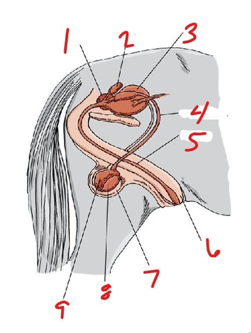 Question Image