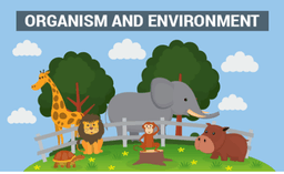 placeholder image to represent content