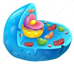 placeholder image to represent content