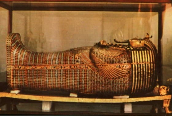 Question Image